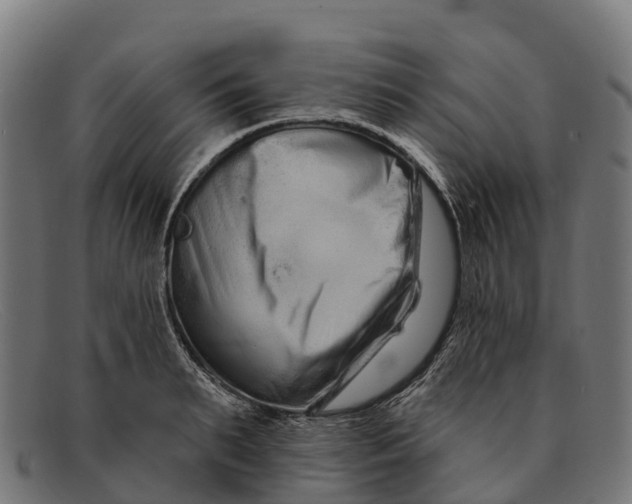 X0000091670895200709131526