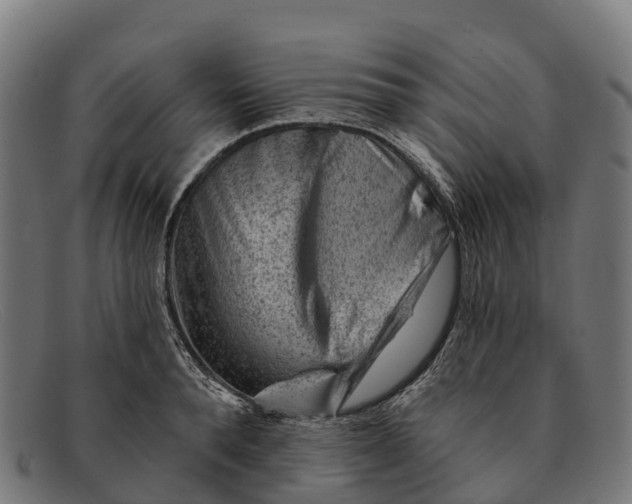 X0000091670896200709131526