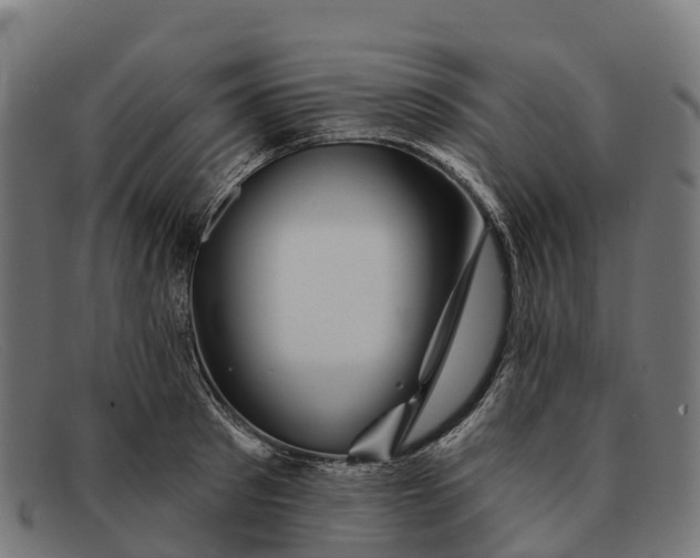 X0000091670897200709131526