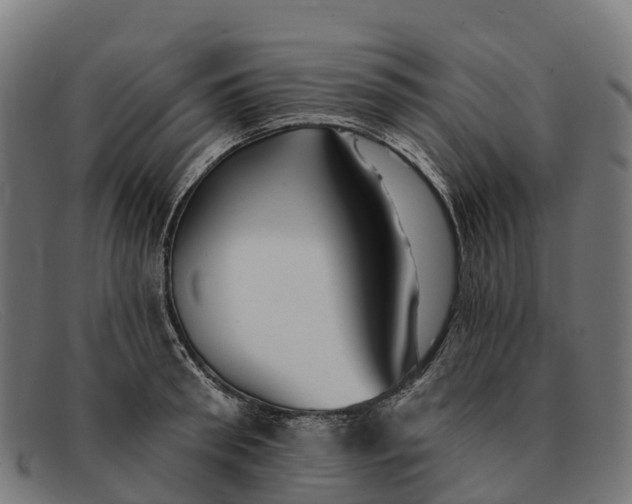 X0000091670898200709131526