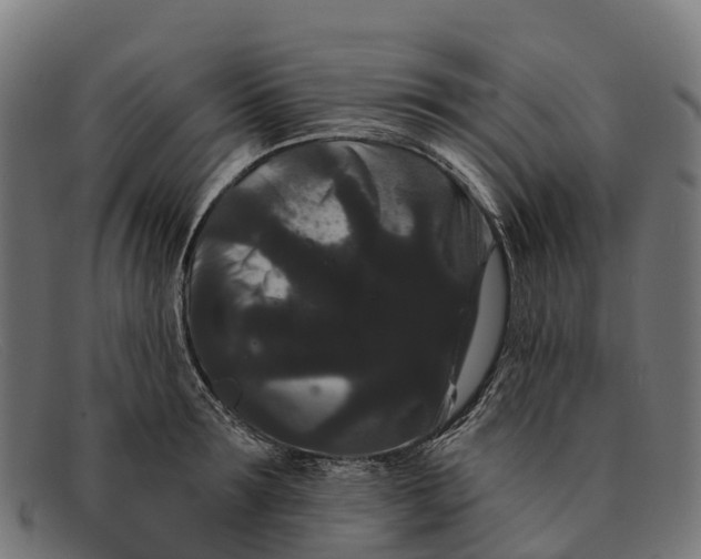 X0000091670899200709131526