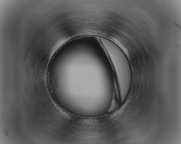 X0000091670901200709131526