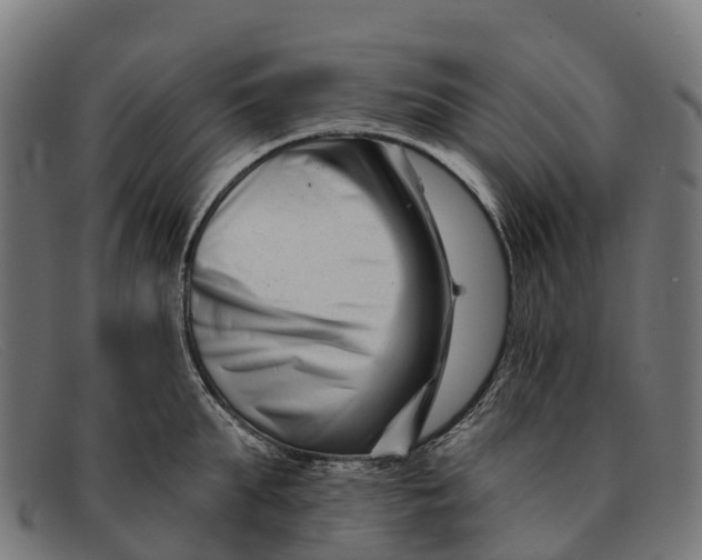 X0000091670903200709131526