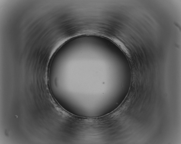 X0000091670904200709131526