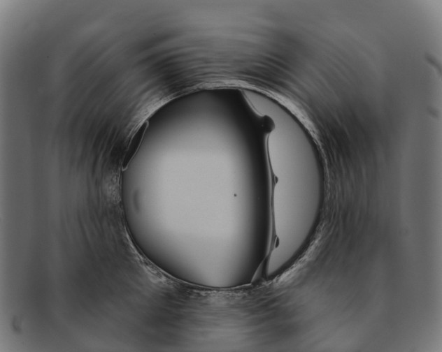 X0000091670905200709131526