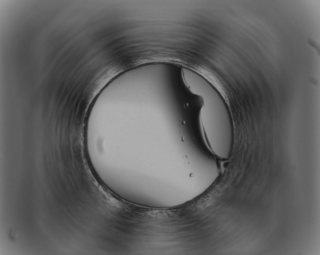 X0000091670906200709131526