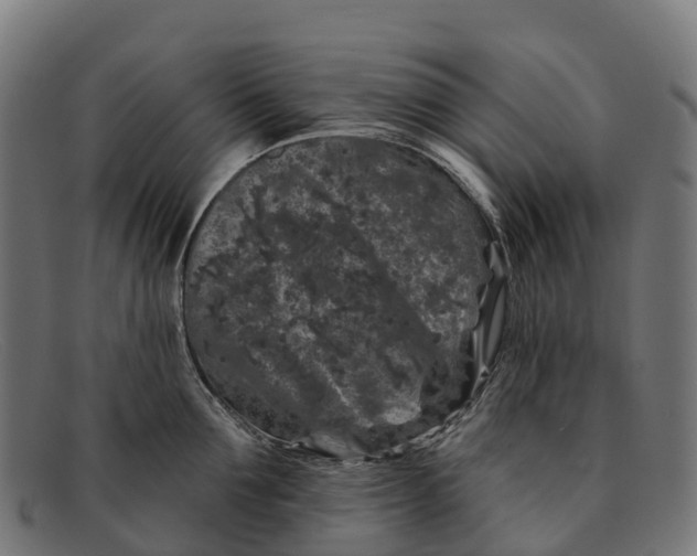 X0000091670907200709131526