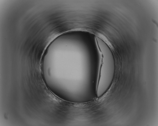 X0000091670908200709131526