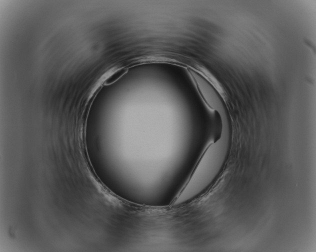 X0000091670909200709131526