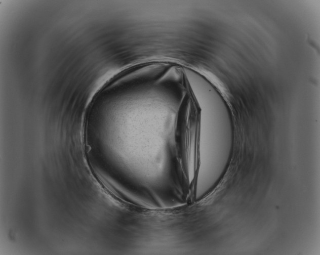 X0000091670910200709131526