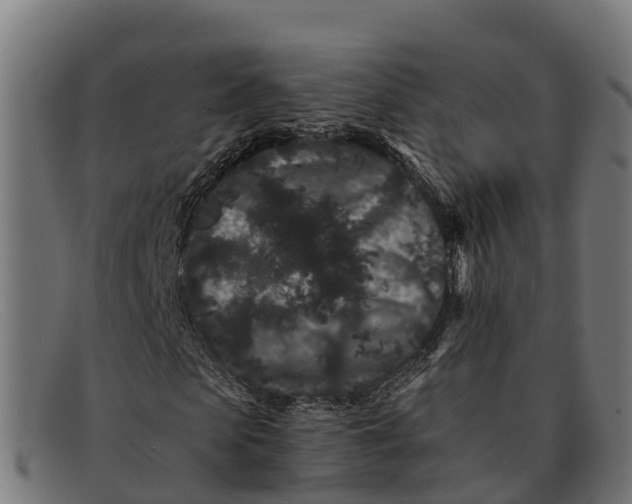 X0000091670913200709131526