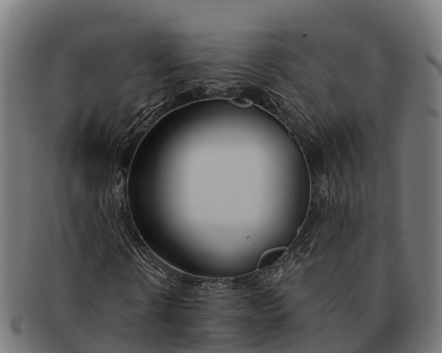 X0000091670914200709131526