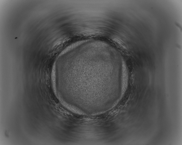 X0000091670917200709131526