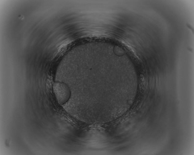 X0000091670918200709131526