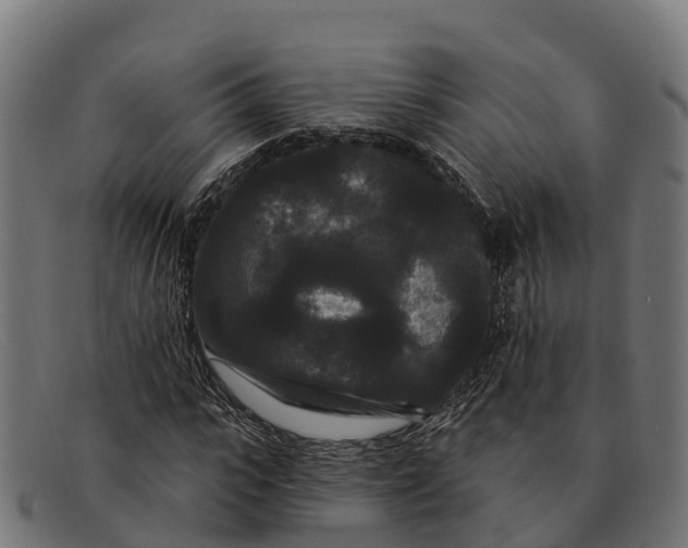 X0000091670919200709131526