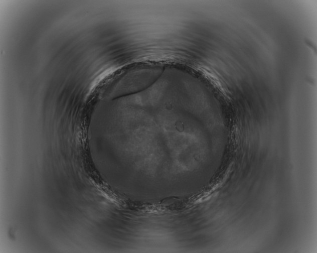 X0000091670920200709131526