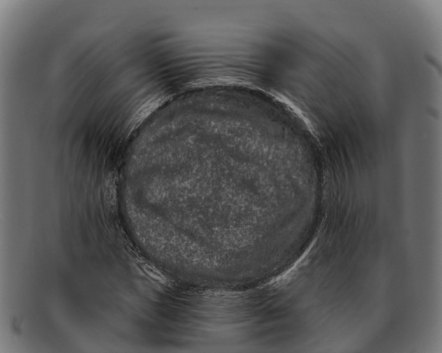 X0000091670921200709131526