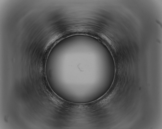 X0000091670922200709131526