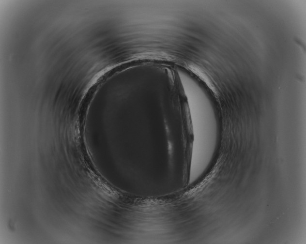 X0000091670923200709131526