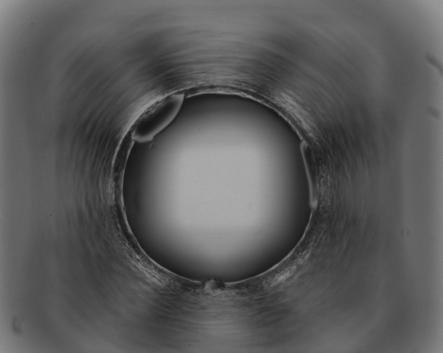 X0000091670924200709131526