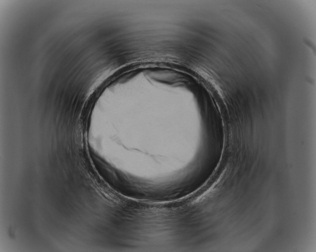 X0000091670925200709131526