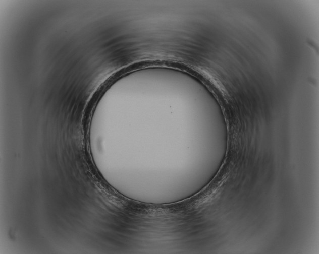 X0000091670927200709131526