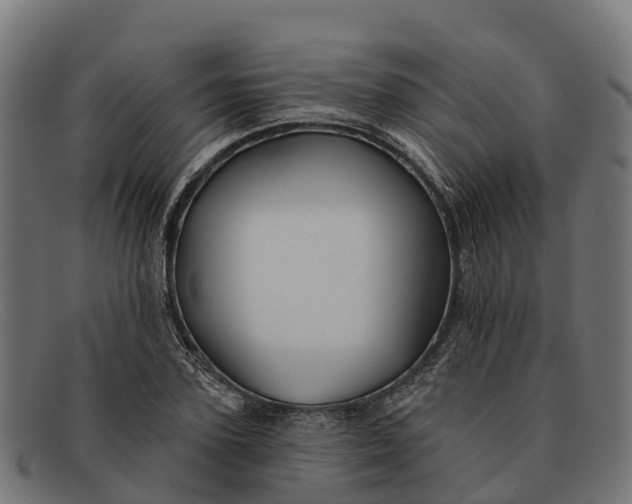 X0000091670931200709131526