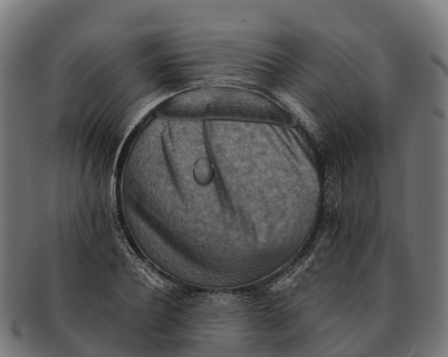 X0000091670932200709131526