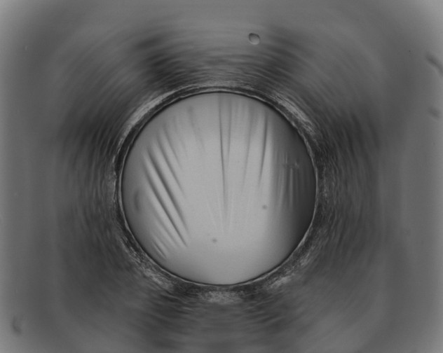 X0000091670933200709131526