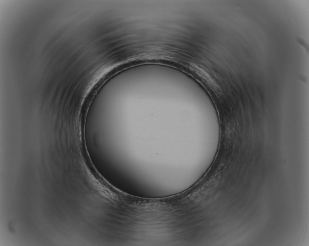 X0000091670934200709131526