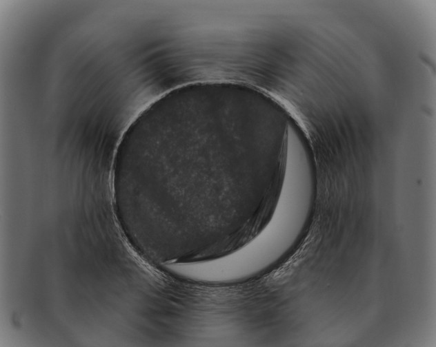 X0000091670935200709131526