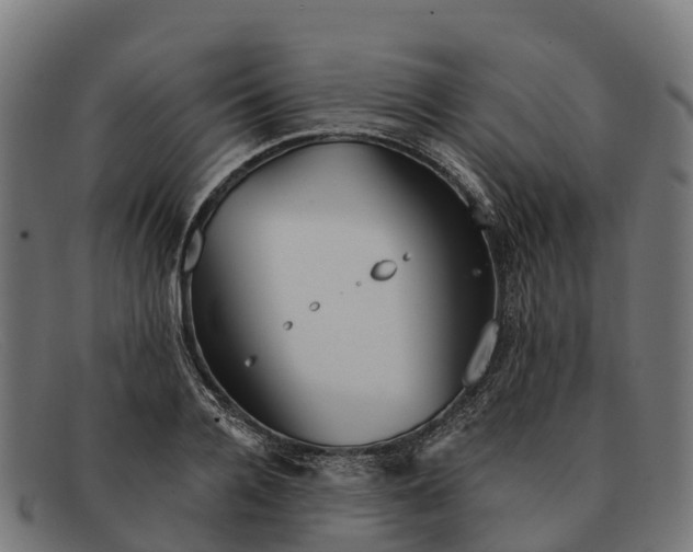 X0000091670936200709131526