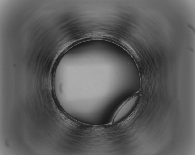 X0000091670939200709131526