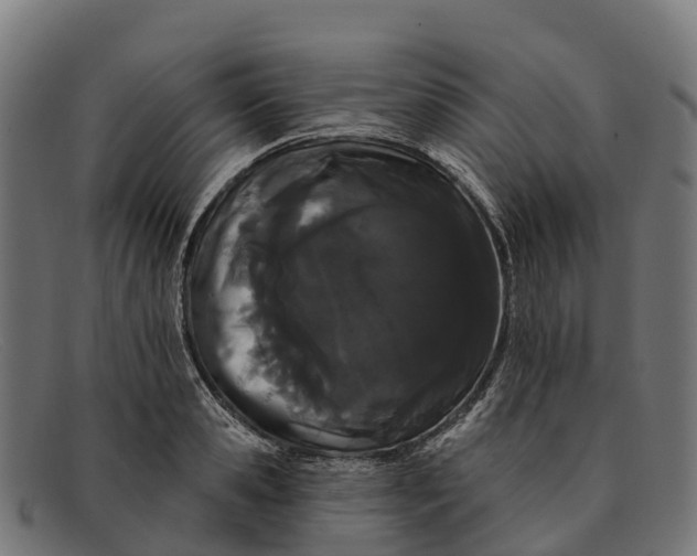 X0000091670941200709131526