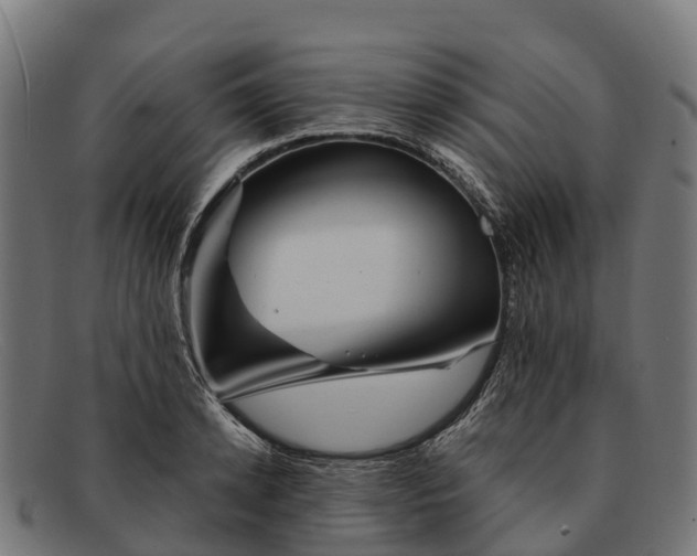 X0000091670942200709131526