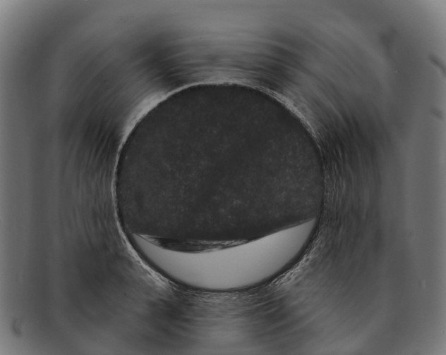 X0000091670943200709131526