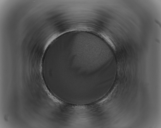 X0000091670944200709131526