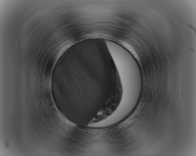 X0000091670946200709131526