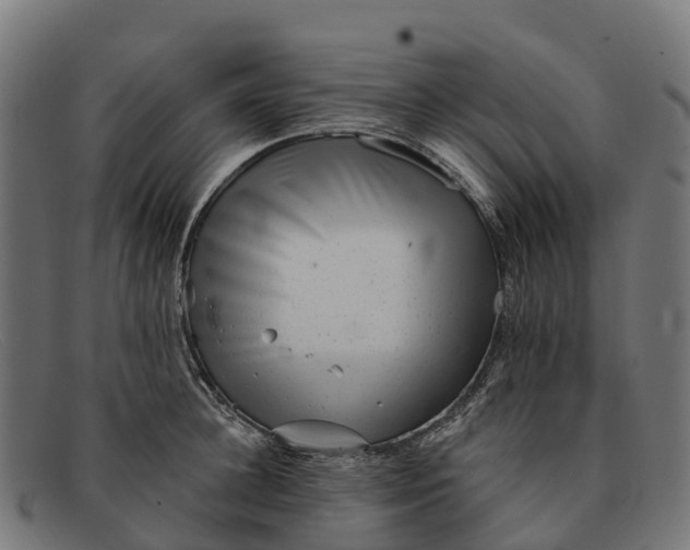 X0000091670948200709131526