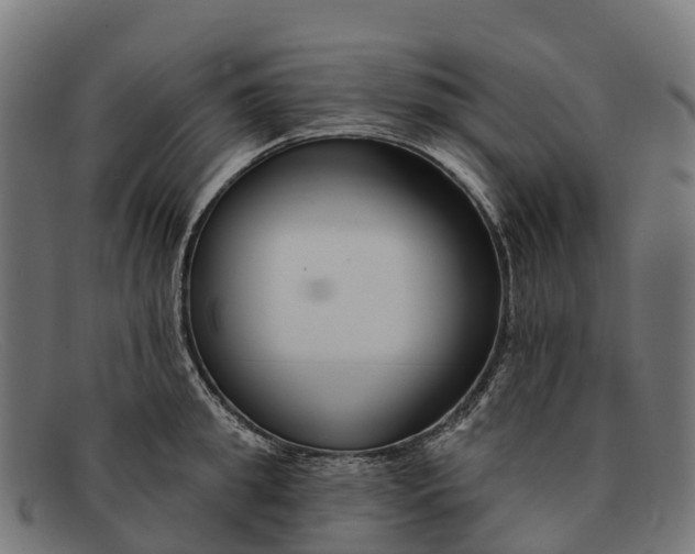 X0000091670949200709131526