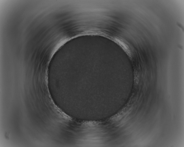 X0000091670950200709131526