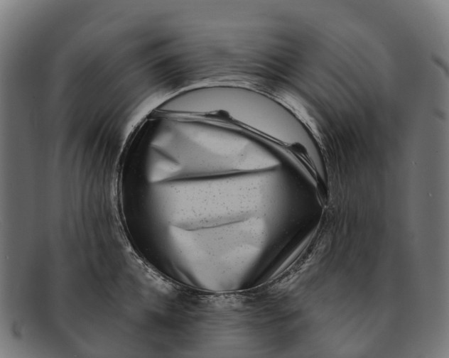 X0000091670952200709131526