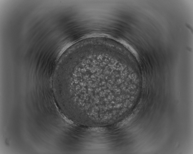 X0000091670953200709131526