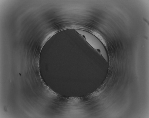 X0000091670954200709131526