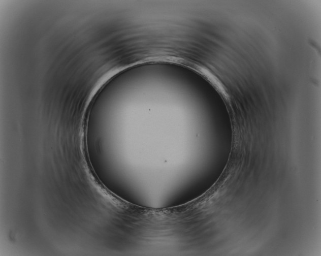 X0000091670955200709131526