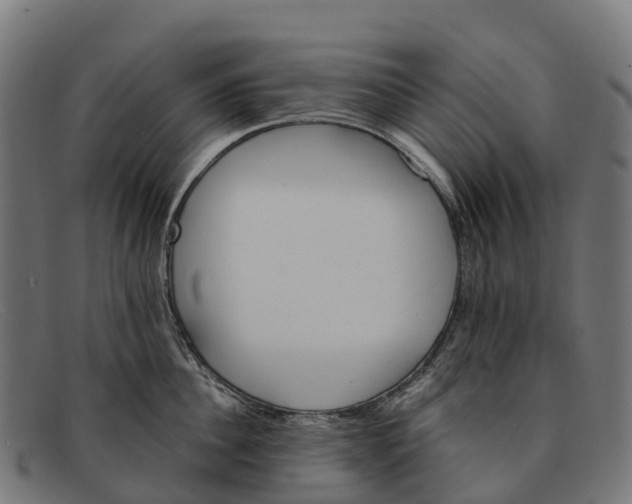 X0000091670956200709131526