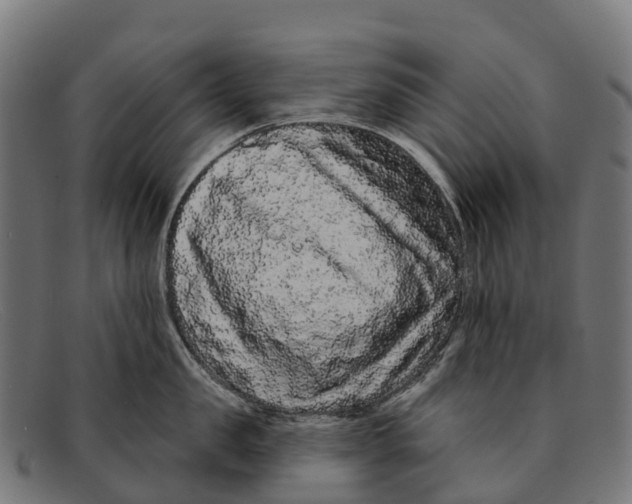 X0000091670957200709131526