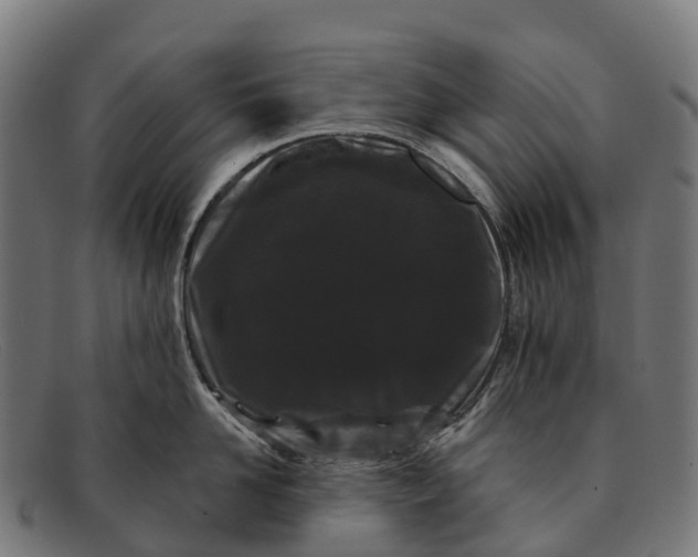 X0000091670958200709131526