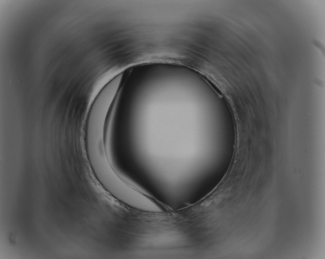 X0000091670960200709131526