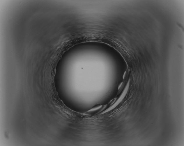 X0000091670961200709131525